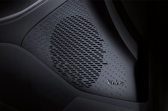 Palisade Lx2 Pe Interior Infinity Speakers Pc